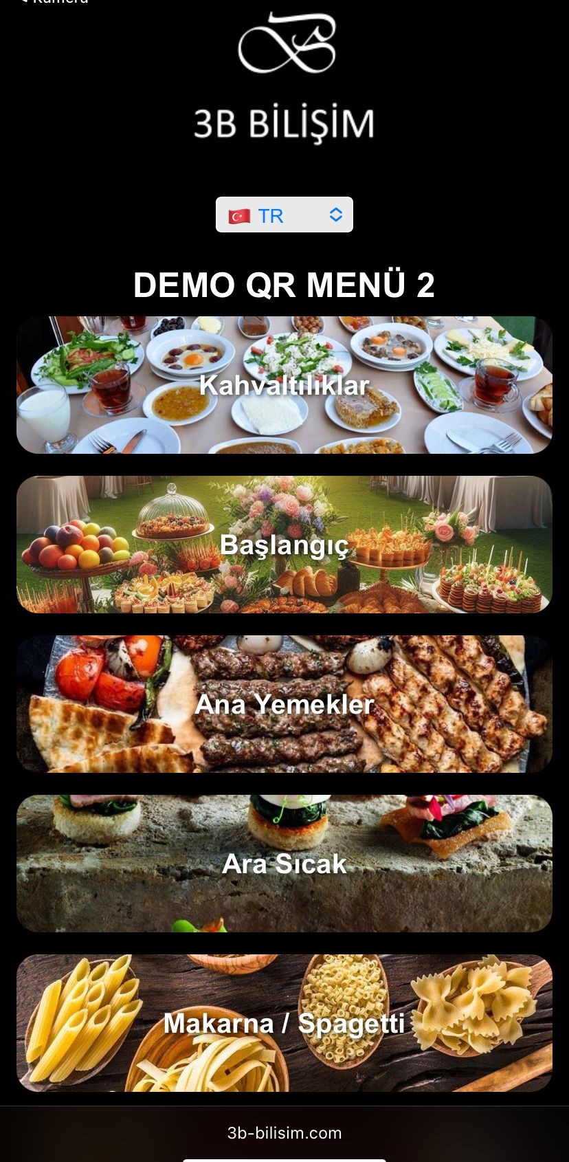 Şablon 1